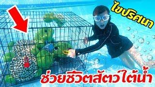 บรีแอนน่า |  ไขปริศนาช่วยชีวิตสัตว์ใต้น้ำ บรีแอนน่าจะทำภารกิจสุดท้าทายนี้ได้หรือไม่? ลุ้นกัน!!