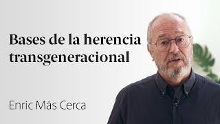 La culpabilidad de los padres (Parte 1)  Enric Más Cerca [37]