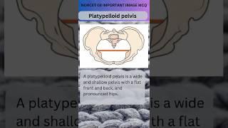 Platypelloid pelvis |Types of pelvis | obg And Gynae Nursing image Base Question Norcet 08#ytshorts