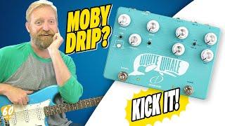 On the Hunt for MOBY DRIP! - Crazy Tube Circuits WHITE WHALE V2 - Reverb & Tremolo - #HoopJumpers