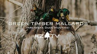 Green Timber Mallards!! (Arkansas Duck Hunt) K ZONE TV: "Green Timber Mallards"