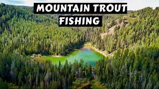 Mountain Trout Fishing Paradise | Idaho