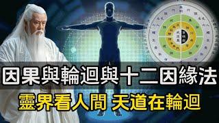 因果與輪迴與十二因緣法，靈界看人間，天道在輪迴#一禪一故事#禪 #佛 #道 #禪定 #悟道