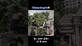 Chinese Kung Fu | The Seven Relics of ill Omen | YOUKU Shorts