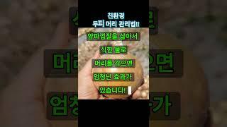 양파껍질 활용법! 머리카락이 힘을 잃었다면 이걸로 감아보세요.