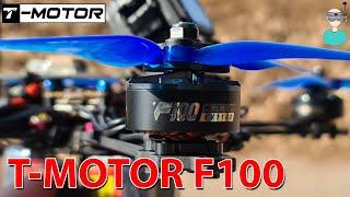 T-Motor F100 1100KV Motors - Thrust Tests & Flight Footage