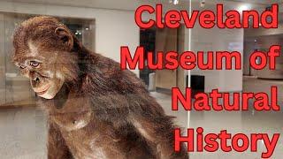 Exploring the Cleveland Natural History Museum Makeover