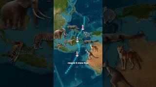 Why Animals Don’t Cross This Invisible Line? The Mystery of Wallace’s Line.