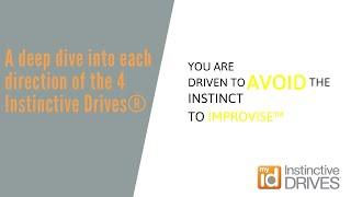 A deep dive into each direction of the 4 Instinctive Drives® – Avoid Improvise