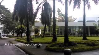 TILAMSIK - The UPLB Chemical Waste Management Story