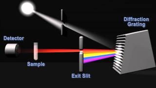 How does a spectrophotometer work?