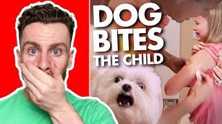 Dog Expert Reacts To "It's Me or the Dog"