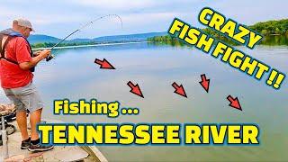 FISHING the TENNESSEE RIVER using BIG MINNOWS as BAIT !!