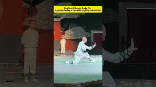 Shaolin soft kungfu Snake Fist#shaolin  #kungfu  #martialarts