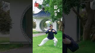 教你一套适合中老年练的游龙拳不跑不跳锻炼全身！ #太乙游龙拳 #道家养生 #太极拳 #太极养生动起来