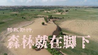 《森林就在脚下》第27届北京大学生电影节获奖作品