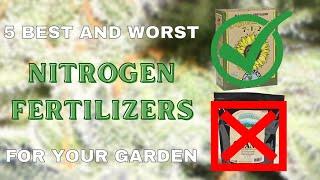 The 5 BEST Nitrogen Amendments For Your Organic Living Soil Garden (And Some to AVOID)