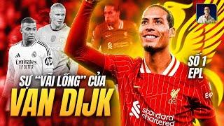 VAN DIJK CÂN SẠCH TIỀN ĐẠO NGOẠI HẠNG ANH: 75 CỦ THẬT ...* LỒNG