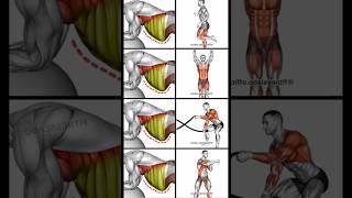 How to LOSE YOUR LOWER BELLY FAT AT HOME  #music #beats #slowedandreverb #remix