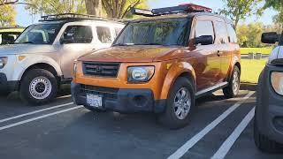 Honda Element Meet-Up: 50+ Rides, One Epic Day!