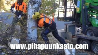 Leguan Lifts in action: L160 4WD Puunkaato Raumalla (2015)