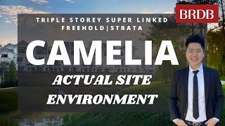 Camelia Rawang Tamansari By BRDB Site Environment Review【Nicholas's Properties Channel EP010】