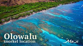 Olowalu | Pride of Maui Snorkel Locations