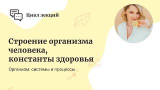 Строение организма человека, константы здоровья