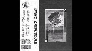 BINGO CREPUSCULE - Demo [FRANCE - 2023]