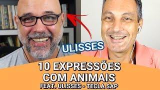 10 Expressões idiomáticas em inglês com animais (ft. Ulisses Carvalho - Tecla SAP)