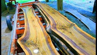 Purple Creek Walnut Slabs on the Sawmill