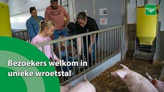 Bezoekers welkom in unieke wroetstal