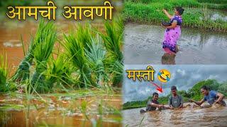 शेत ची आवणी ||shet chi avani ||Marathi vlog @yashkharpade