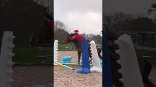 3 Falls in a month  but the most confident we’ve ever been!!#HorseShorts #Equestrian #Horses