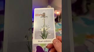 TAROT TIDBITS MINDFUL MINUTES #divinelyguidedtarot #tarotreading #shorts #tarot #tarotshorts #seer