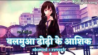 #lofi"Balmuaa Dhodi Ke aashiq ||slowed ~ reverb ||बलमुआ ढोड़ी के आशिक ||Hit Bhojpuri Lofi Song..