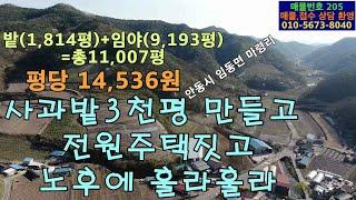 ((매물번호 205))평당14,536원.밭(1,814평)+임야(9,193평)=11,007평.사과과수원 부지용.주택허가가능.귀농용.귀산촌용.전원생활가능.