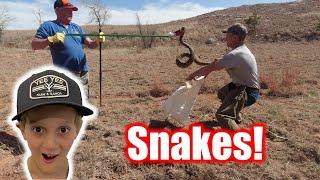 Rattlesnake Hunting in Oklahoma