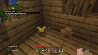 Minecraft_20200110104704