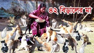 42 cats mother! They look like a child