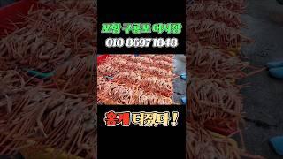 구룡포 어시장 홍게 터졌다! 살 꽉찬 홍게 선별! 택배 가능! 25.5.14 긴급!