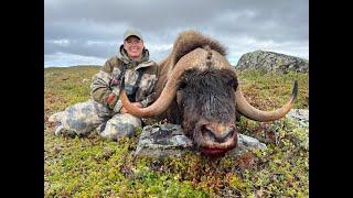 Outdoor Quest Ep#2 2023 Muskox and Lake Trout in NWT Part 2