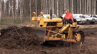 Syökerin sauhut Vihtijärvi 2018