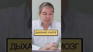 Дыхание и мозг