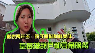 【日本生活】搬家兩年多：院子裡的新鮮美味，草莓糖葫蘆和豆角晚餐I  Reaction Video