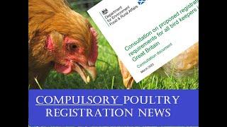 Legal Registration for all Chickens? (DEFRA Consultation)