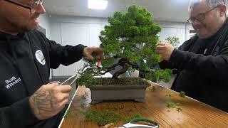 A Ryan Bonsai Masterclass combined with a Caz workshop!! You know this is gonna be special!