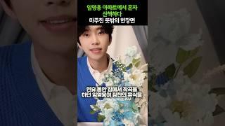 임영웅 아파트에서 혼자 산책하다 마주친 뜻밖의 한장면