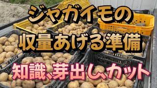 Basics and preparations to improve potato yield and flavor. Now you're no longer a beginner!