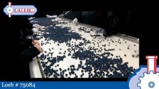 A and B Packaging Fruit and Vegetable Weigh and Fill Packaging Line - Loeb # 75084